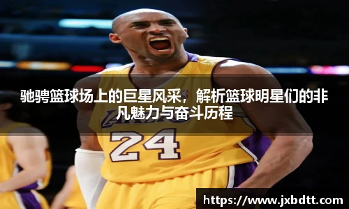 bsports官网入口