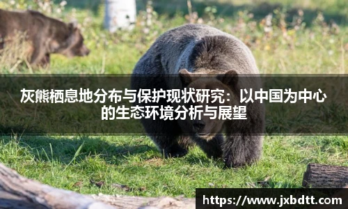 bsports官网入口