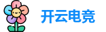开云电竞